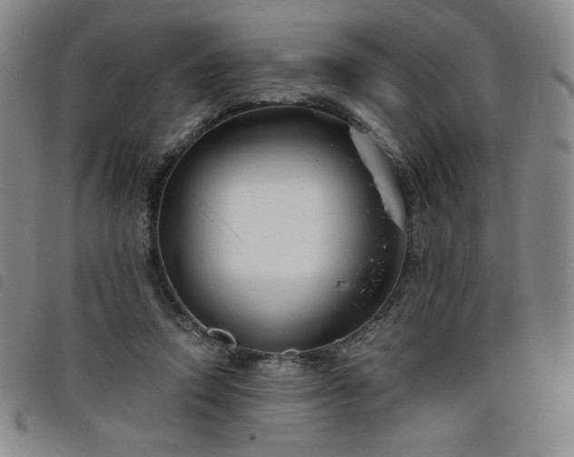 X0000098130354200804241655