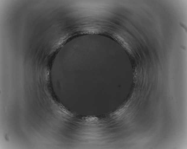 X0000098130355200804241655