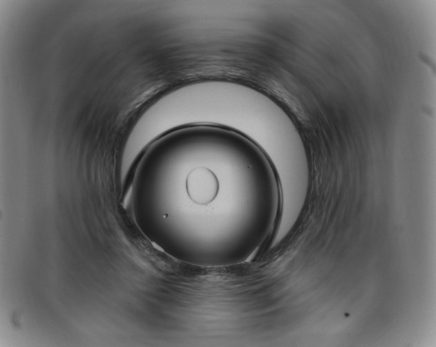 X0000098130356200804241655