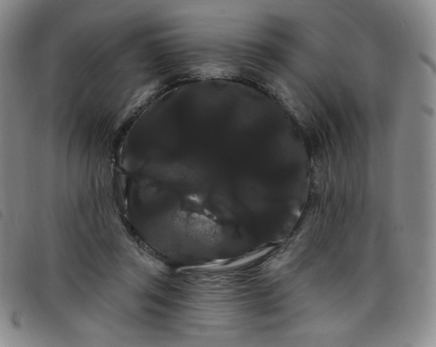 X0000098130357200804241655
