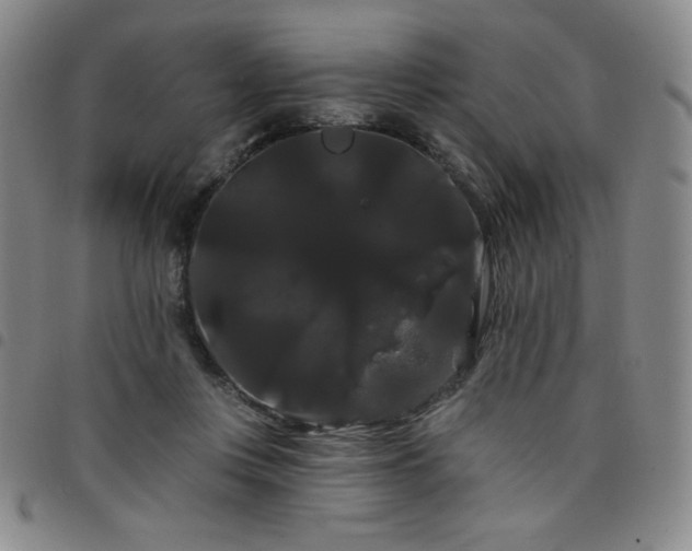 X0000098130359200804241655