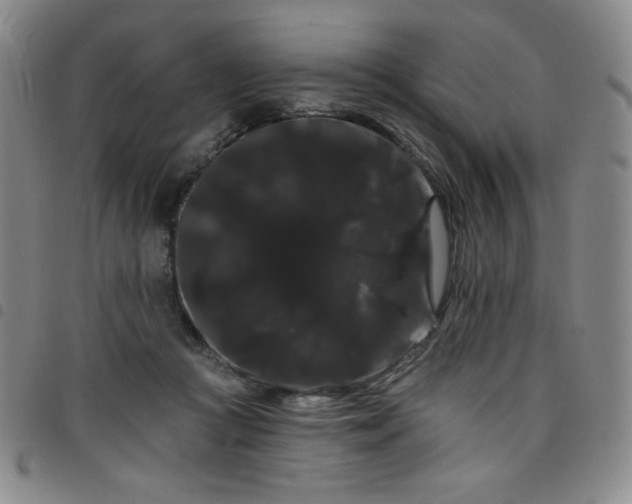 X0000098130361200804241655