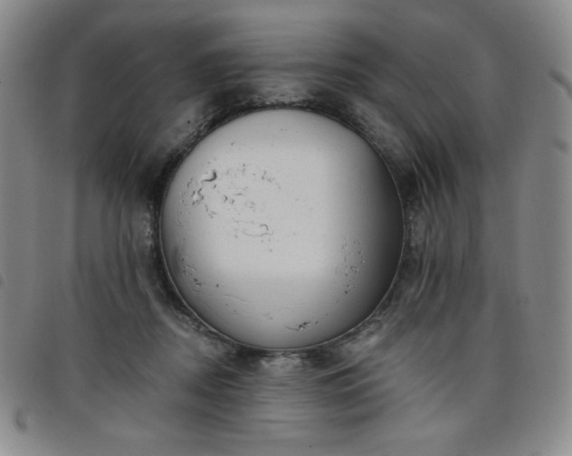 X0000098130362200804241655