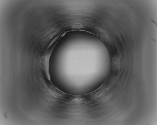 X0000098130364200804241655