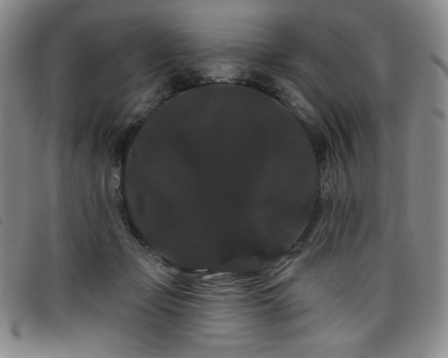 X0000098130365200804241655