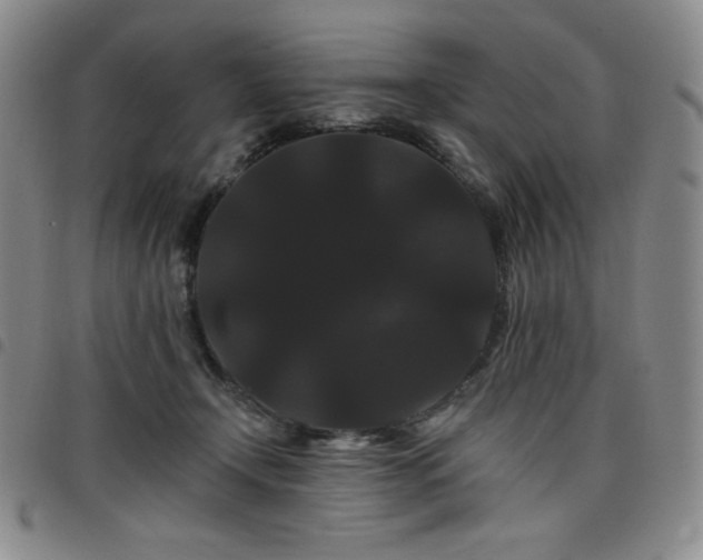 X0000098130366200804241655
