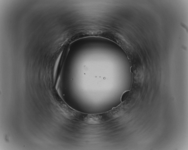 X0000098130368200804241655