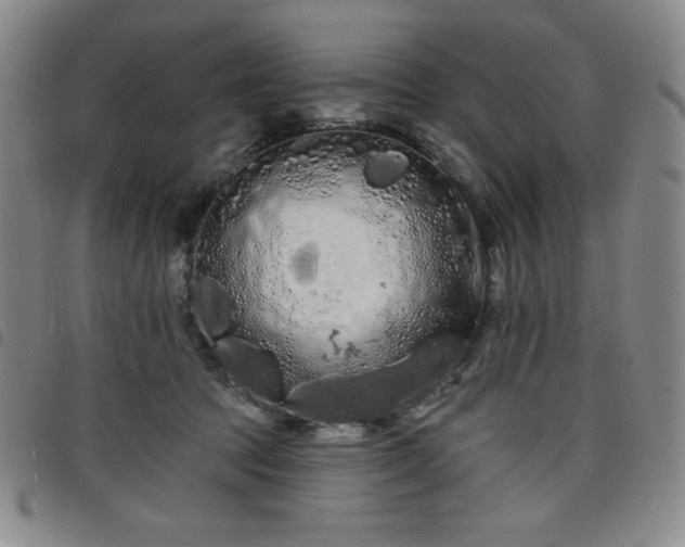 X0000098130369200804241655