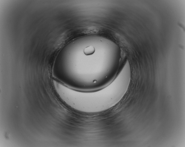 X0000098130370200804241655