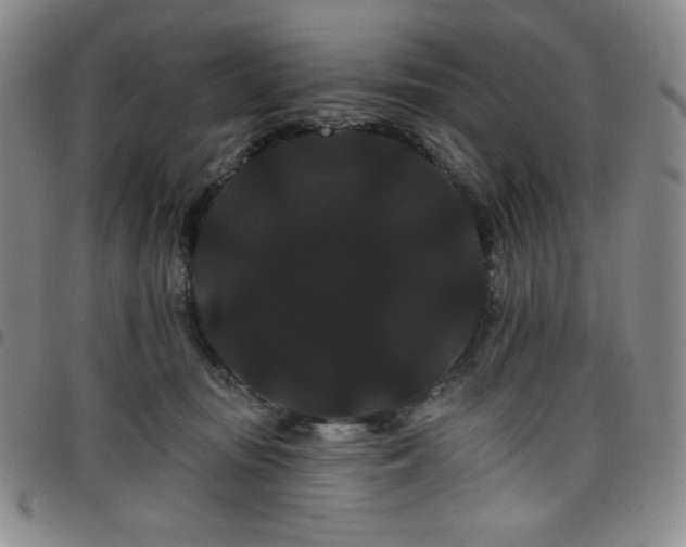 X0000098130371200804241655