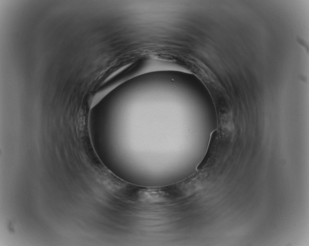 X0000098130372200804241655