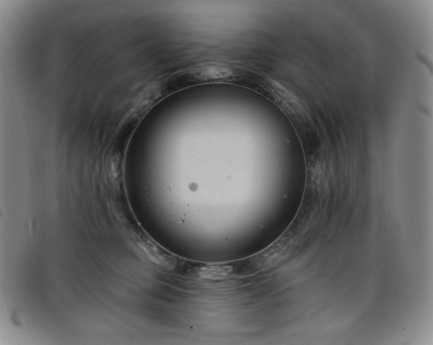 X0000098130373200804241655