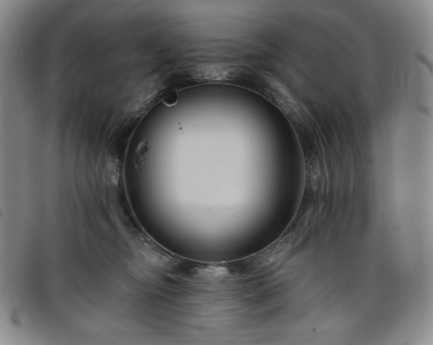 X0000098130374200804241656