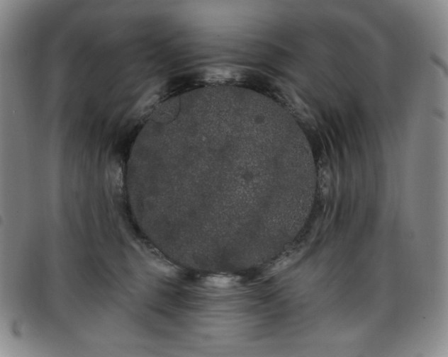 X0000098130375200804241656