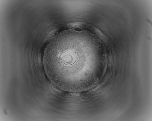 X0000098130377200804241656