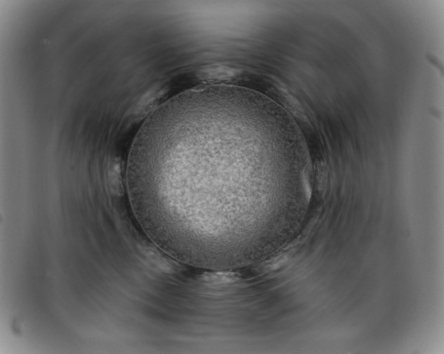 X0000098130378200804241656