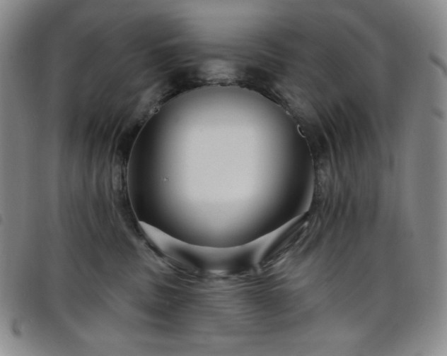 X0000098130379200804241656