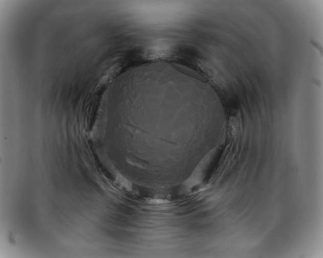 X0000098130380200804241656