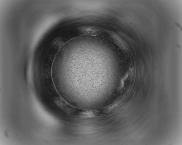 X0000098130381200804241656