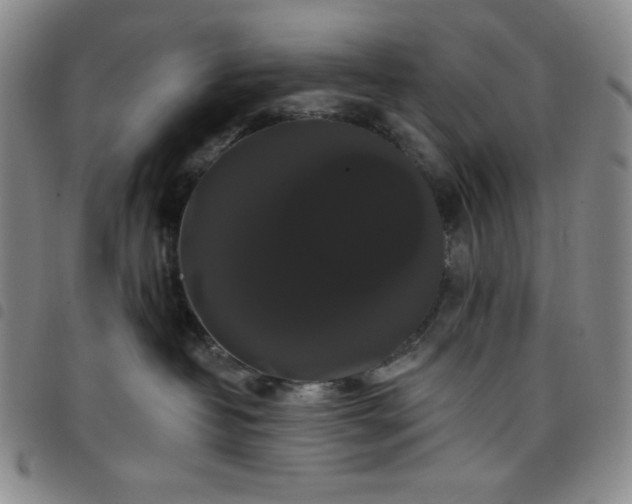 X0000098130382200804241656