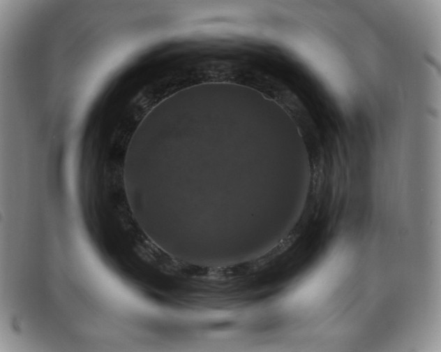 X0000098130383200804241656
