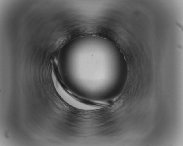 X0000098130384200804241656