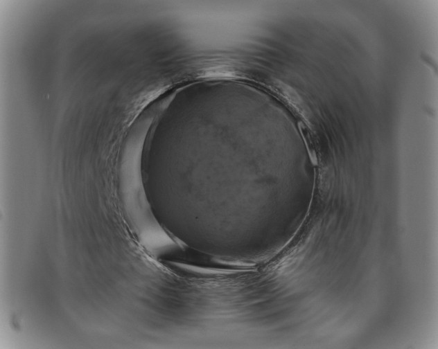 X0000098130385200804241655