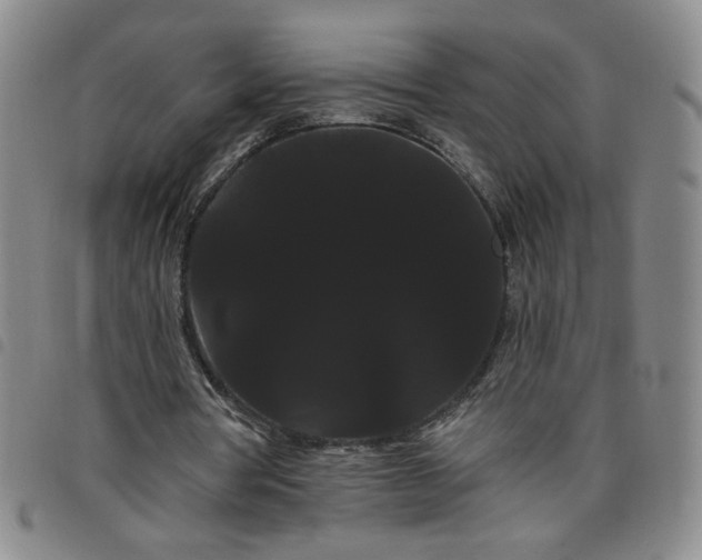 X0000098130386200804241655