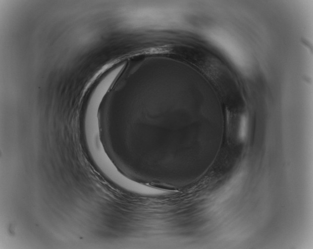 X0000098130387200804241655