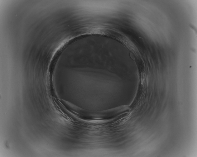 X0000098130388200804241655