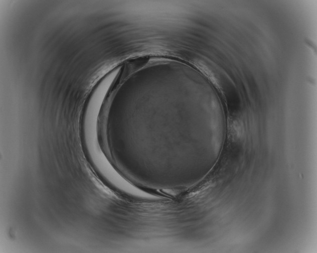 X0000098130389200804241655