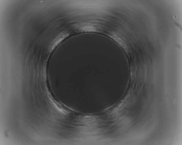X0000098130390200804241655