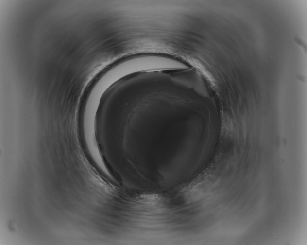 X0000098130391200804241655