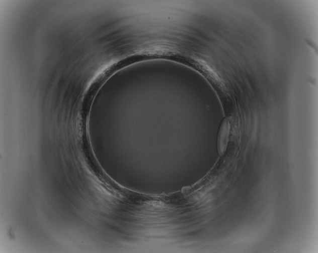 X0000098130392200804241655