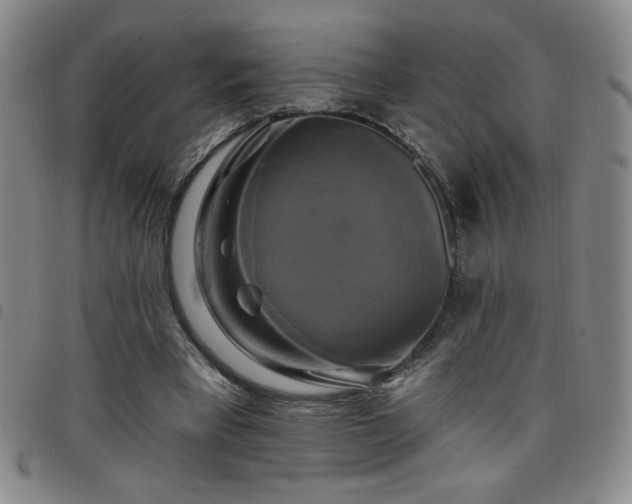 X0000098130393200804241655