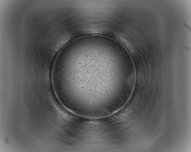 X0000098130394200804241655
