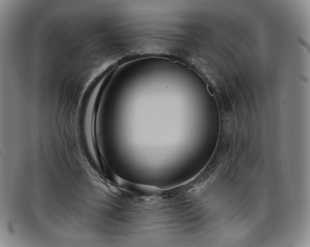 X0000098130395200804241655