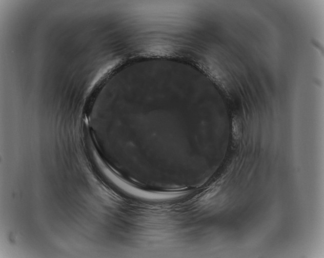 X0000098130396200804241655