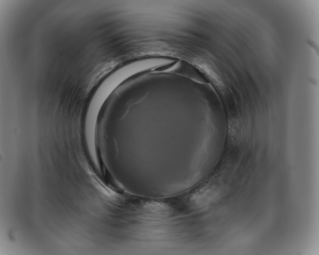 X0000098130397200804241655