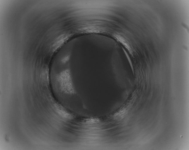 X0000098130398200804241655