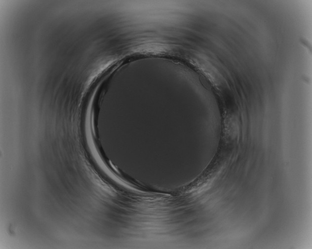 X0000098130399200804241655