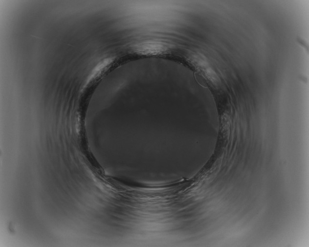 X0000098130400200804241655