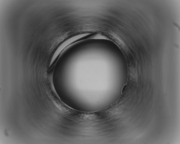 X0000098130401200804241655