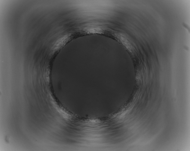 X0000098130402200804241655