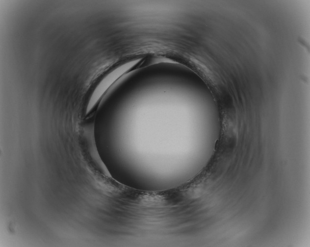 X0000098130403200804241655