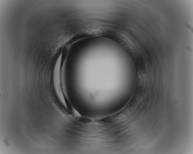 X0000098130404200804241655