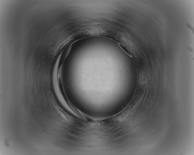 X0000098130405200804241655