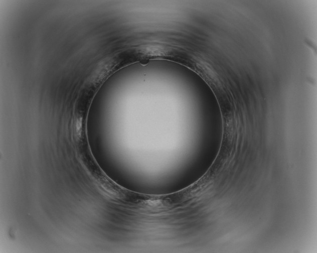 X0000098130406200804241655