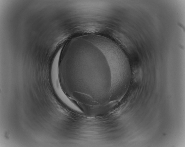 X0000098130407200804241655