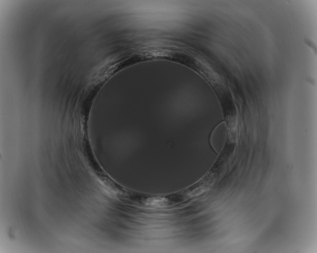 X0000098130410200804241655